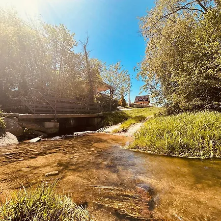 Szalas Przy Potoku Baciary Chalet *